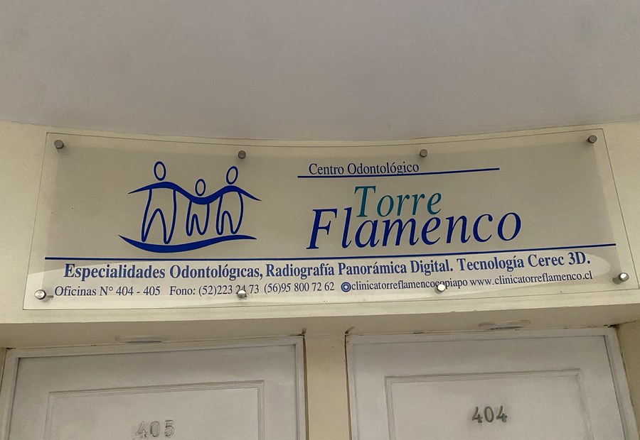 Entrada Torre Flamenco